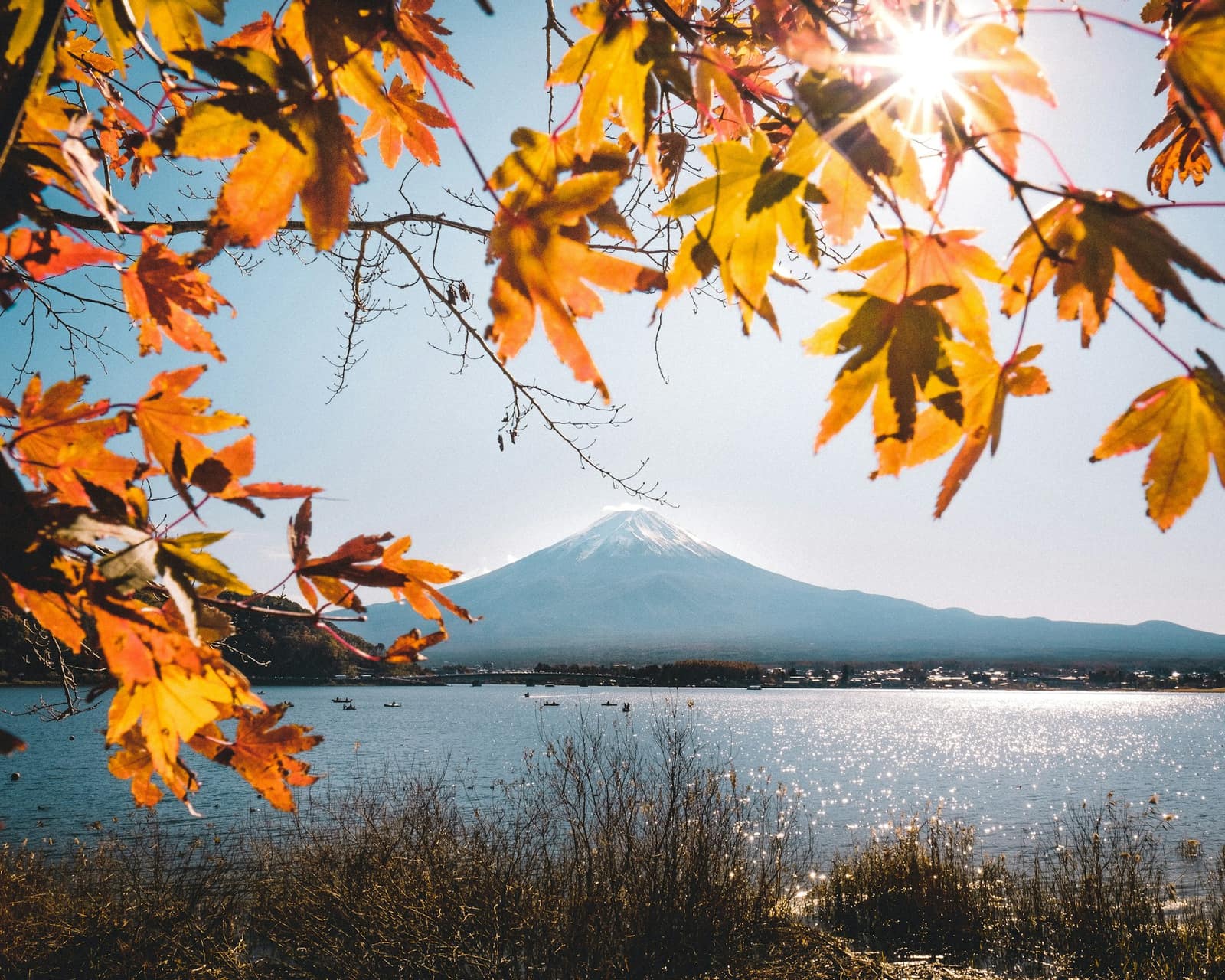 Le mont Fuji et des érables rouges au bord d'un lac en automne